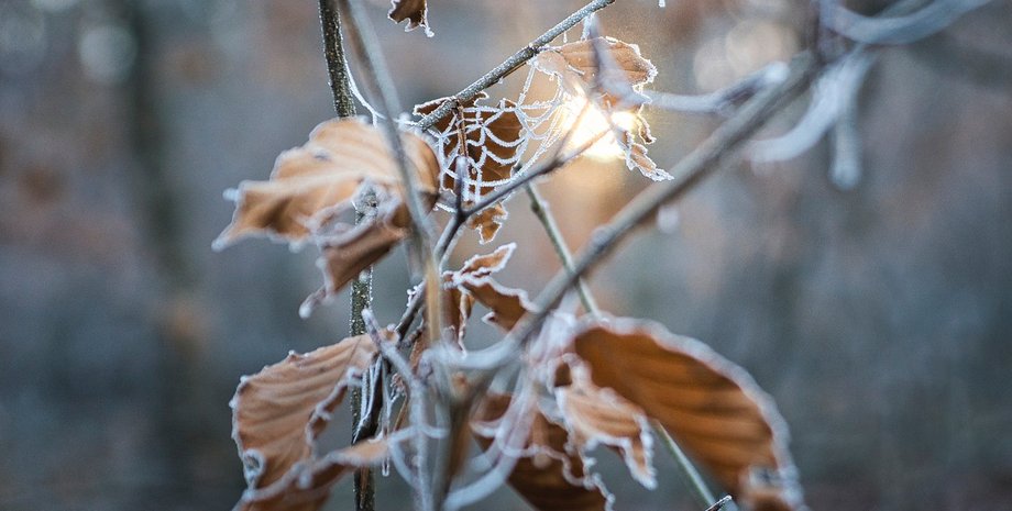 самый холодный январь в европе