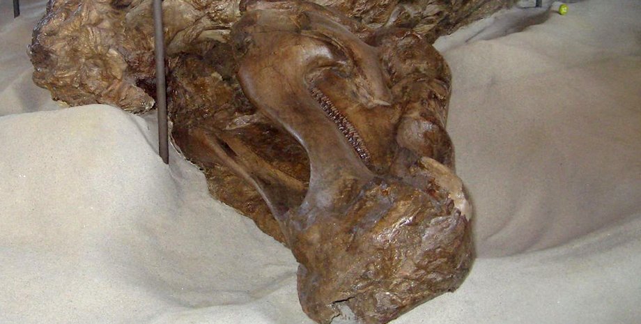 динозавр мумия