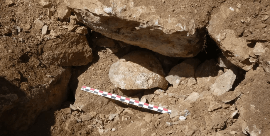 голову выставили на показ